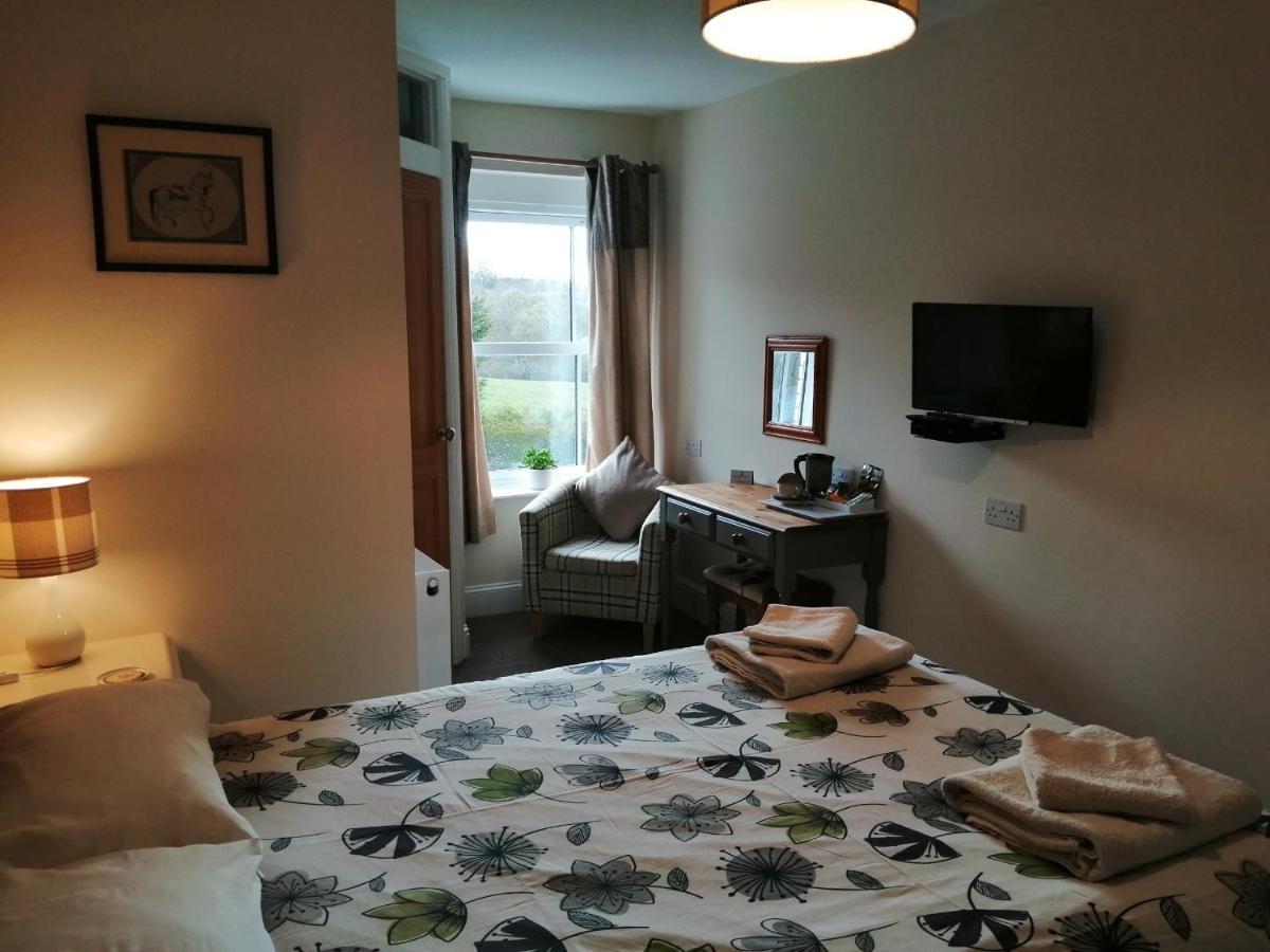 Lion Hotel Llanbister Extérieur photo