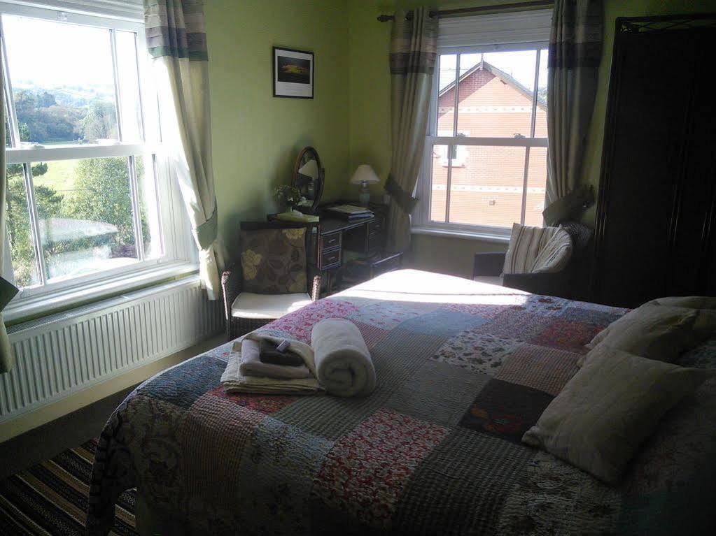 Lion Hotel Llanbister Extérieur photo